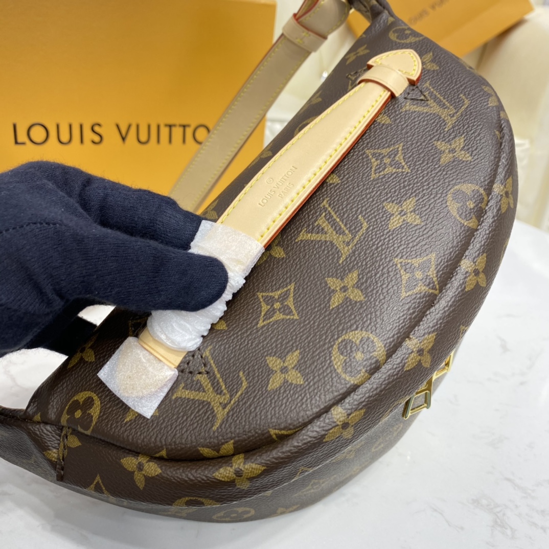 Louis Vuitton BUMBAG Monogram M43644